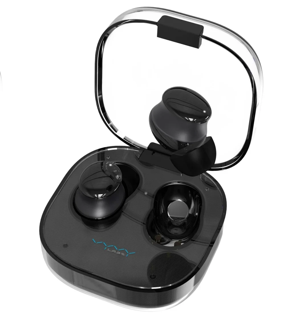 Vyvylabs Binkus True Wireless Earbuds